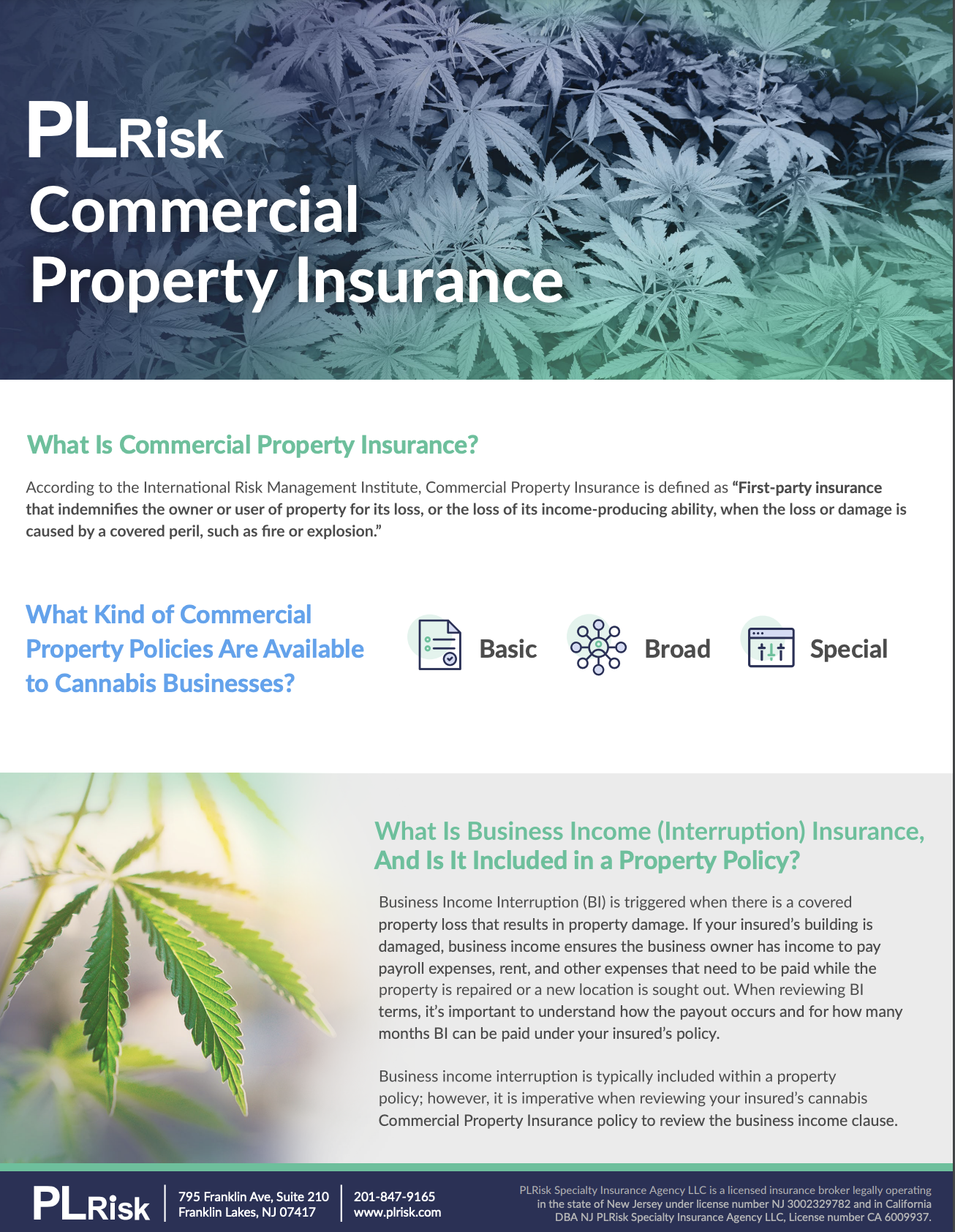 Cannabis Commercial Property Insurance